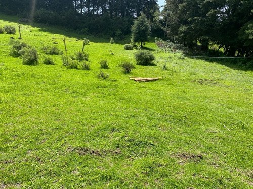 Imagen 1 de 5 de Lote En Paraje Mechinanco, Huitzilac, Morelos.