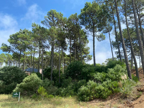 Lote En Venta Zona Alamos (tres Carabelas E/ Garzas Y Calandria)
