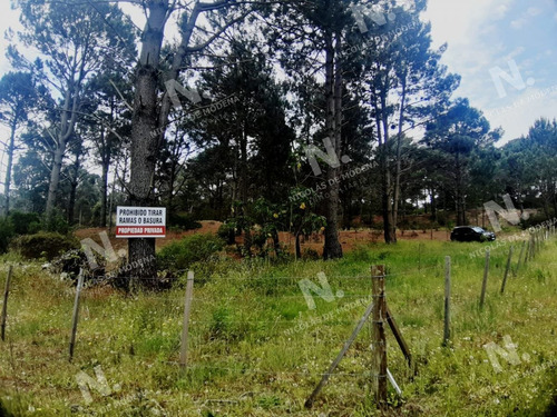 Imagen 2 de 3 de Venta Terreno En Punta Ballena, Gran Oportunidad - Punta Ballena Club Del Lago