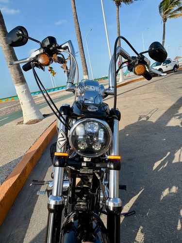 Harley Davidson Custom 1200 Xl 2019