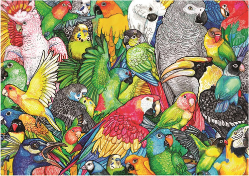 Puzzle Rompecabezas 500 Piezas Loros Aves Papagayos Educa
