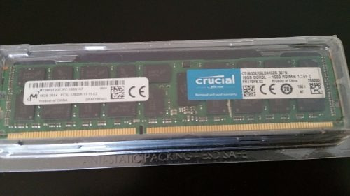 Memoria RAM 16GB 1 Crucial CT16G3ERSLD4160B