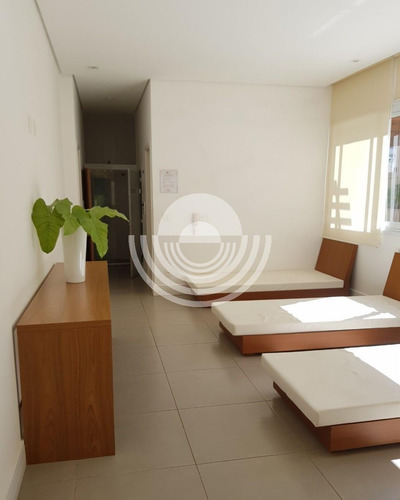 Imagem 13 de 20 de Apartamento À Venda Em Cambui - Ap006667
