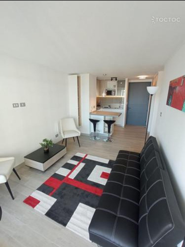 Arriendo Hermoso Depto Amoblado 2d 1b Con Con