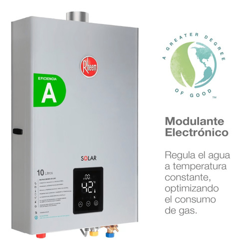 Calefont Rheem T-forzado Gas Natural 10 Litros