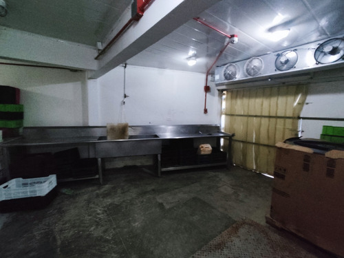 Local Con Procesadora De Pescado Y Otros Alimentos