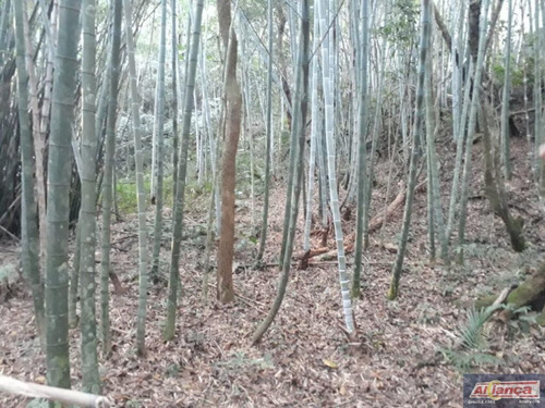 Imagem 14 de 15 de Chácara Com 1 Dormitório À Venda, 23 M² Por R$ 600.000,00 - Água Azul - Guarulhos/sp - Ai19108