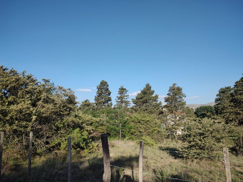 Imagen 9 de 30 de Terrenos En Venta En Villa Giardino