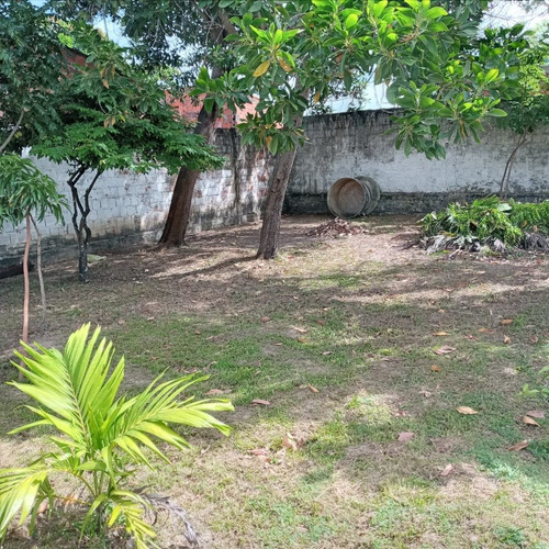 Imagem 3 de 14 de Vendo Mini-chácara Localizada Na Pavuna-ce