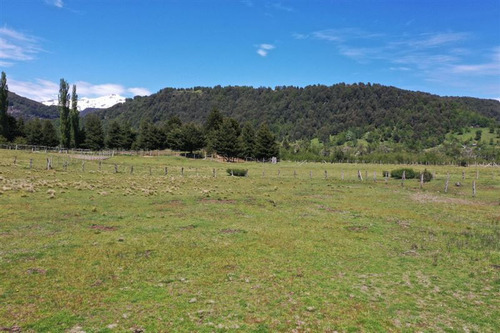 Terreno 5.000 M2 A Pocos Metros Pueblo Malalcahuello