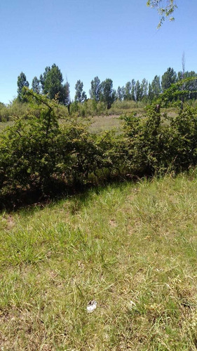 Imagen 10 de 13 de Finca 2ha+casa Excelente Ubicación, A 10min De Gral Alvear