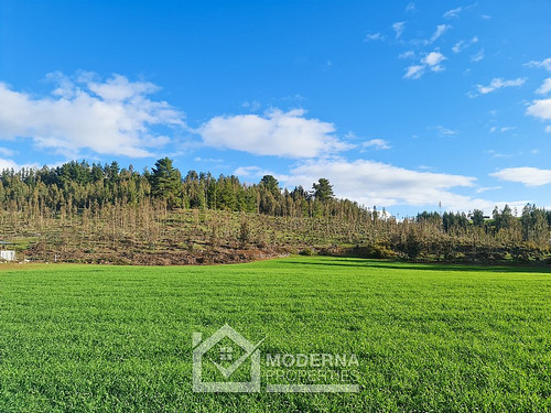 Campo 78 Ha En Traiguén Entre Rios