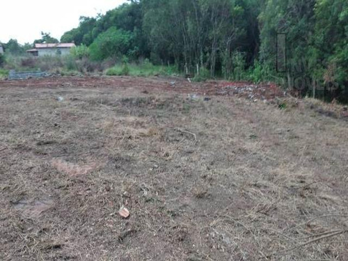 Imagem 6 de 8 de Cod -5650 - Terreno Em Ibiúna Com Poço E Energia - 5650