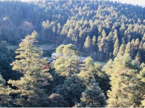Imagen 12 de 12 de Terreno En Venta Mineral Del Monte Centro