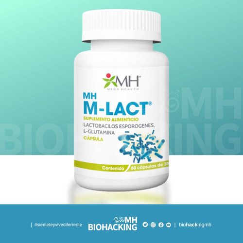 Mh M-lact: Lactobacilos