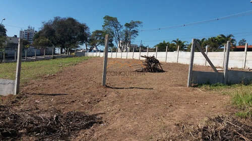 Imagem 3 de 8 de Terreno - Centro - Ref: 2220 - L-4404