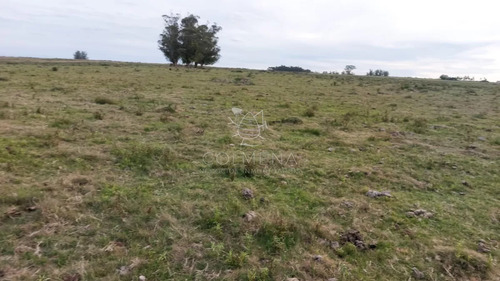 114 Has 9201 M2 En Paraje Jose Ignacio