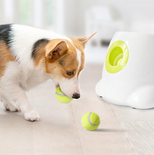 Lançador Automático De Bola Para Cachorro 3 6 9 Metros Pet