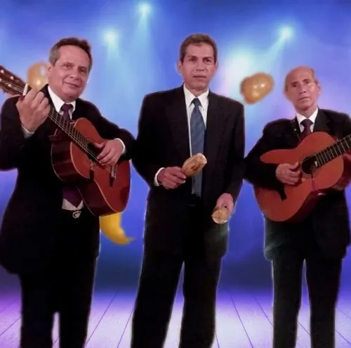 Grupo Trio Romantico Serenata Boleros Y Son04142717659