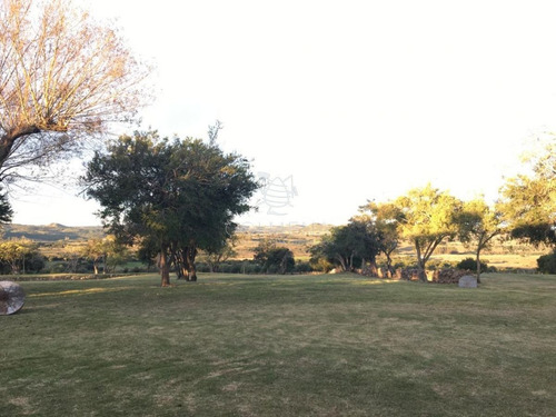 Imagen 5 de 11 de Chacra En Sierra De Los Caracoles - Zona Rural - Pueblo Eden