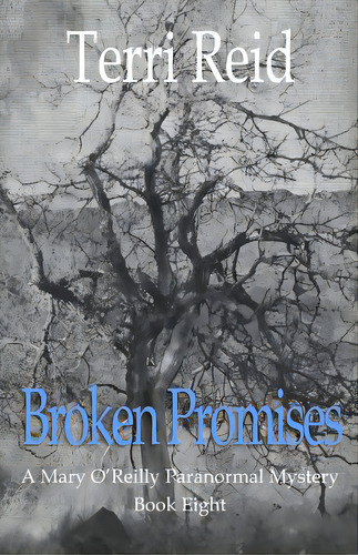 Broken Promises: A Mary O'reilly Paranormal Mystery - Book Eight, De Reid, Terri. Editorial Createspace, Tapa Blanda En Inglés