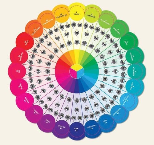 Book : Essential Color Wheel Companion Choose Perfect Color