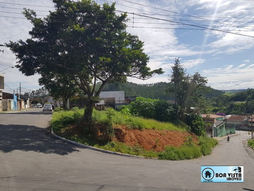 Imagem 1 de 5 de Terreno Em Rua - B0520-v