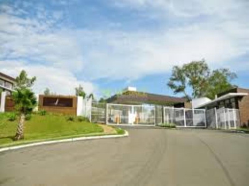 Imagem 7 de 12 de Terreno À Venda, 1000 M² Por R$ 245.000,00 - Santa Isabel - Viamão/rs - Te0016