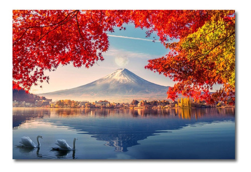 Cuadro Monte Fuji Volcán Japón Foto Naturaleza Arte 60x40