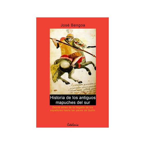 Historia De Los Antiguos Mapuches Del Sur (catalonia)