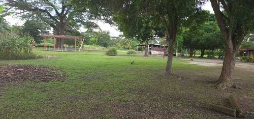 Imagen 13 de 13 de Granja Avícola- Porcina En Barinas Cerca Del Centro