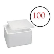 Comprar 100 Caixas Térmicas Doces Medicamento Sorvetes Isopor De 1kg