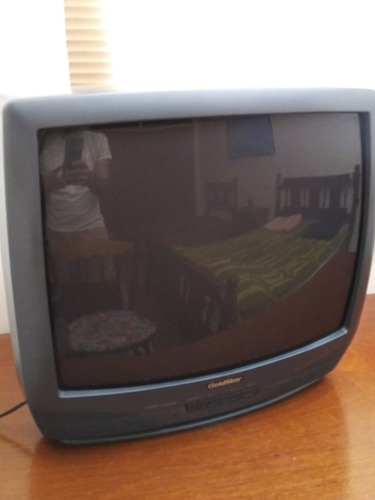 Televisor Goldstar De 21 Pulgadas