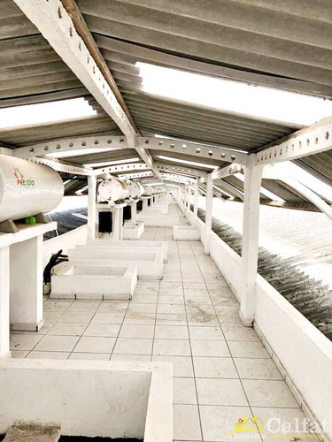 Imagem 11 de 30 de Sobrado De Condomínio Com 3 Dorms, Mirim, Praia Grande - R$ 919 Mil, Cod: 1624 - V1624