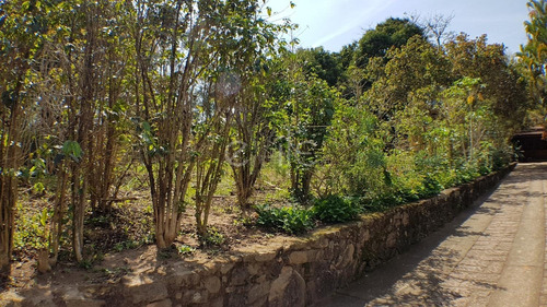 Chácara À Venda Em Jardim Monte Belo - Ch006577