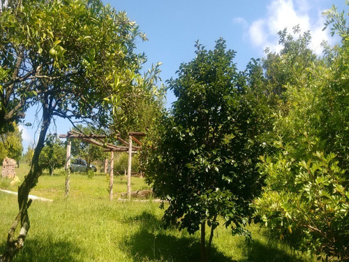 Chácara 5.100 M² - Freguesia Do Mundo Novo - Taquara - Rs - 1392 - 32419913