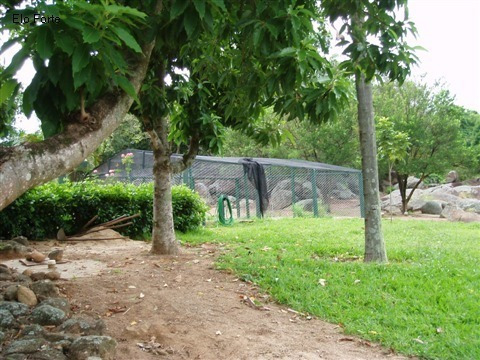Imagem 3 de 3 de Sitio A Venda, Tombadouro , Indaiatuba - St00043 - 1531683