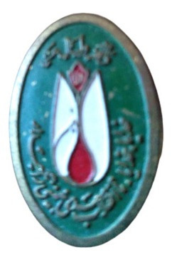Pin De Metal Dorado, Fondo Verde. Desconozco Su Origen
