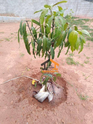 Imagem 10 de 12 de Chácara À Venda, 1014 M² Por R$ 266.000,00 - Vivendas Do Engenho D Água - Itatiba/sp - Ch0152