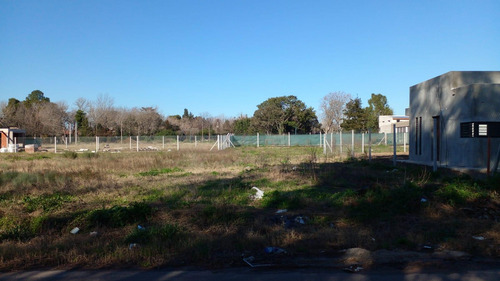 26 Entre 453 Y 454 City Bell Lote En Venta Barrio Tacuarí