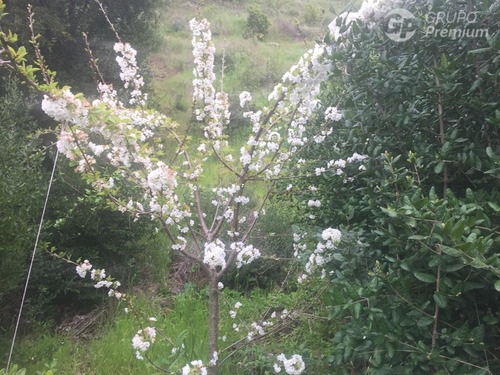 Parcela En Venta En Alhué 45,26 Ha