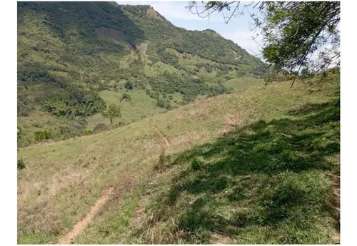 Vendo Finca De 30 Cuadras En Damasco Para Ganadería Cerca La Pintada