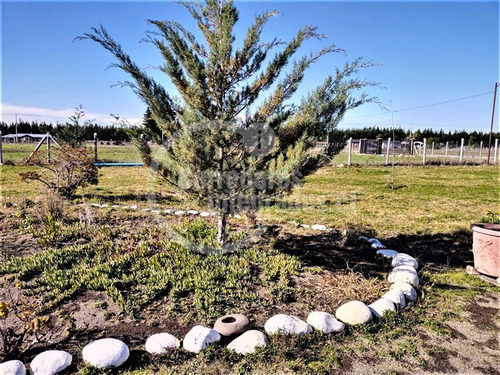 Hermosa Parcela En Venta En Los Angeles