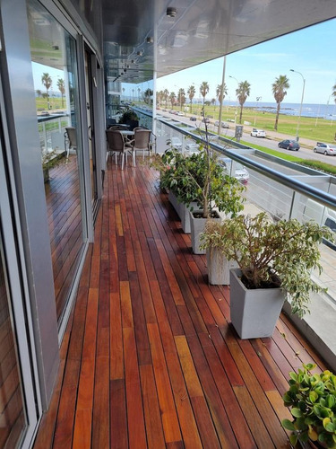 Imagen 8 de 30 de Rambla De Punta Carretas, Moderno Edificio Con Piscina, Gimnasio, Barbacoa !!