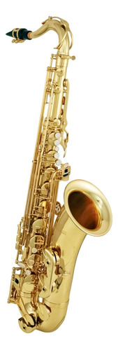 Saxofon Tenor Roy Benson Ts-202 Laqueado Con Estuche
