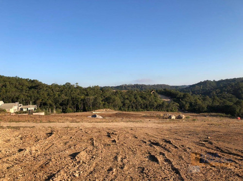 Imagem 3 de 22 de Terreno À Venda, 300 M² Por R$ 99.000,00 - São Giácomo - Caxias Do Sul/rs - Te0210