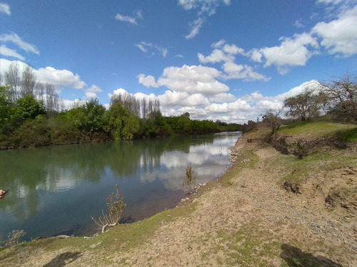 Campo 45,12 Ha , Borde De Río, Pavimento. Cauquenes, Vii R.