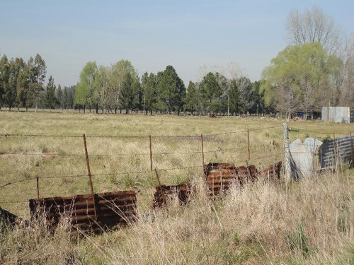 Imagen 14 de 21 de Terreno - La Plata