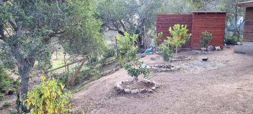 Imagen 22 de 23 de Tejada. Casa Olmue. Valor Incluye Mantencion De Jardines.