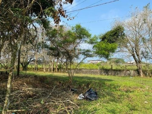 Imagem 9 de 15 de Terreno - 7250 - 68592105